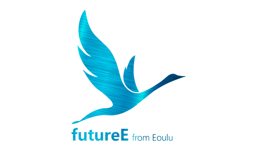 ПО Eoulu FutureE